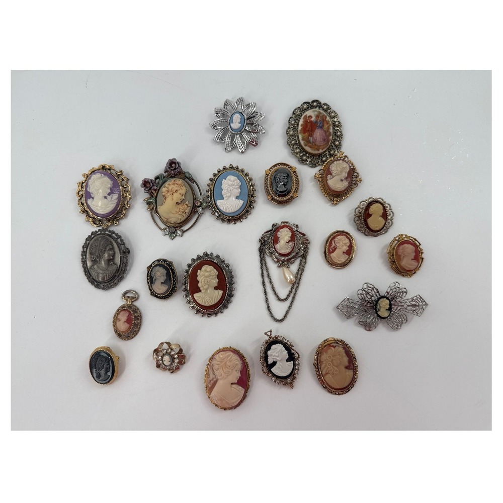 Vintage Cameo Brooch Pendant Lot Womens Mixed Color Victorian Style Jewelry 20pc